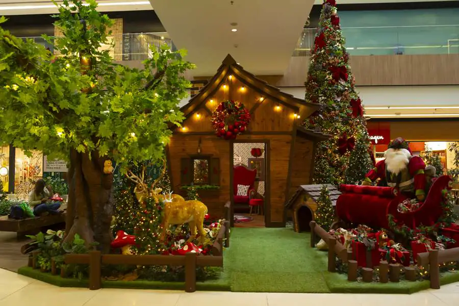 floresta-encantada-de-natal