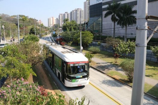 1ª Floresta Urbana Linear em corredor de ônibus recebe mais 600 mudas de árvores neste sábado