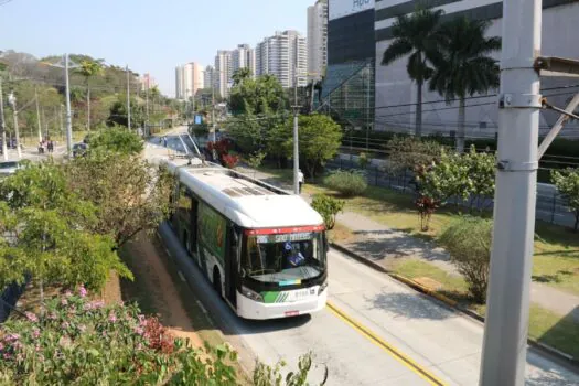 Floresta urbana linear em corredor de ônibus reduz poluição na Grande SP