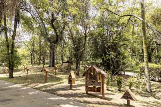 Jardim Botânico de SP comemora seu 96º aniversário com a inauguração de um Meliponário