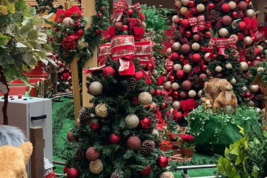 Grand Plaza estreia decoração de Natal com atrações interativas para crianças e pets