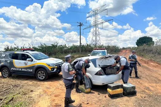 PM Rodoviária apreende mais de 350 kg de maconha no interior de São Paulo