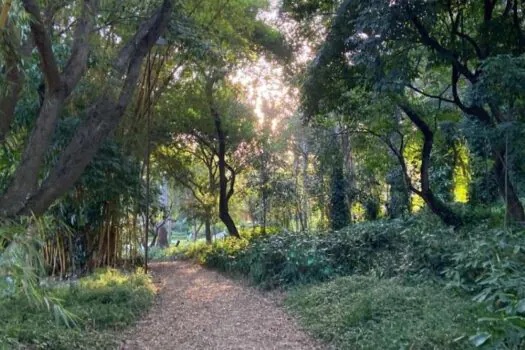 Urbia realiza circuito ambiental no Parque Tenente Brigadeiro Faria Lima 