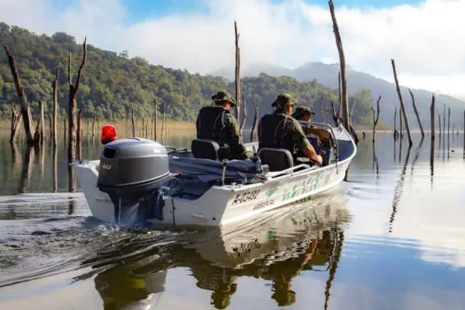 PM Ambiental intensifica ações durante piracema para proteção da fauna aquática em SP