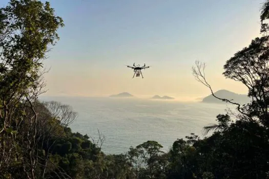 SP acompanha ações de recuperação ambiental na Vila Sahy, em São Sebastião