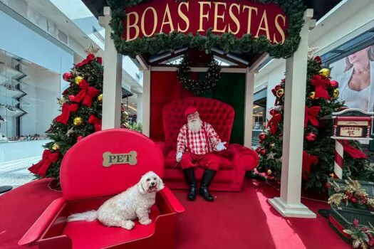 Shoppings da ALLOS disponibilizam tronos pet para fotos com o Papai Noel