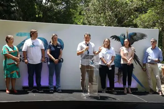 Zoo SP inaugura novo espaço dedicado às ararinhas-azuis