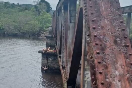 Mulher cai de ponte em SC e luta pela vida com ajuda do marido