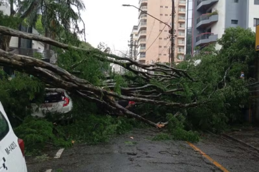 Árvore cai em Osasco, deixa vítimas presas e provoca caos na rede elétrica