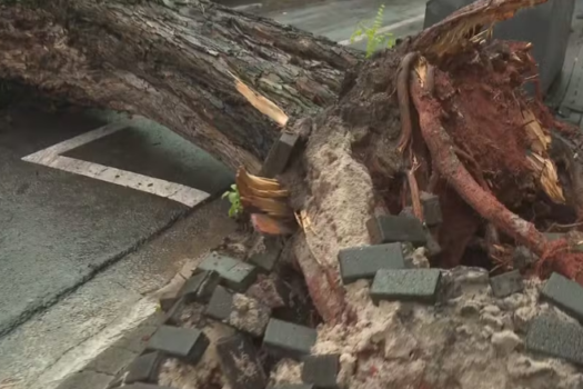 Tempestade de Natal causa alagamentos e queda de árvores em São Paulo