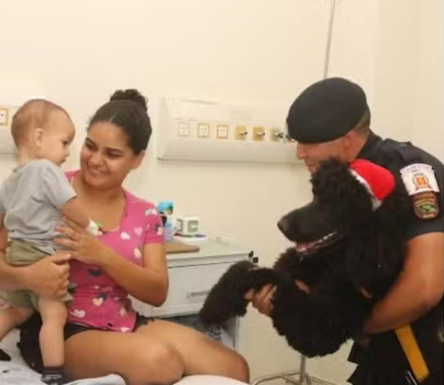 Cães terapêuticos promovem visita de Natal a pacientes em hospital de Santos