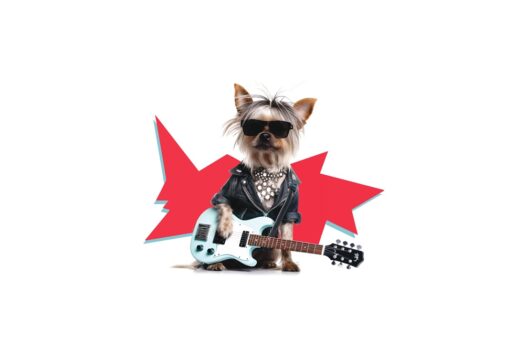 Dogs of Rock transforma Moema em um festival pet-friendly com conscientização