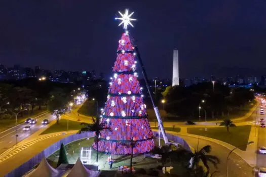 Maior árvore de Natal de SP é inaugurada no Ibirapuera