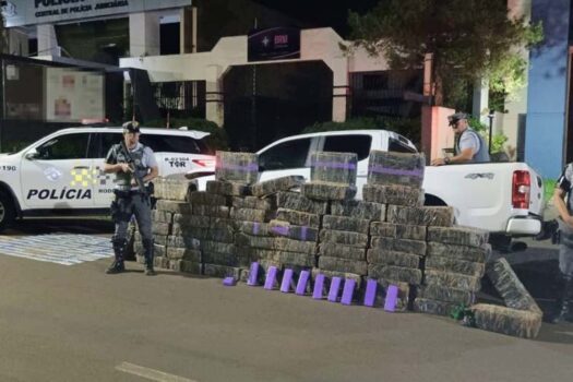 Homem é preso com 1,2 tonelada de maconha em rodovia de SP