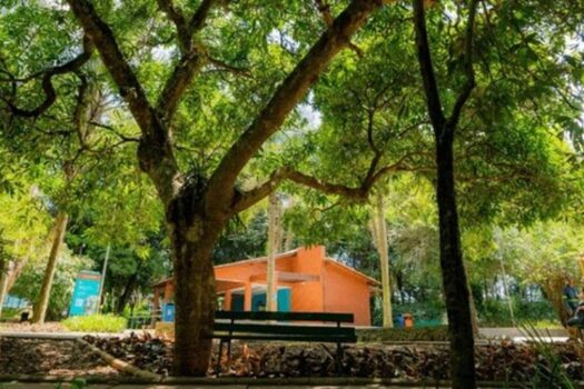 Parque Jardim Felicidade realiza ação de conscientização e proteção do meio ambiente