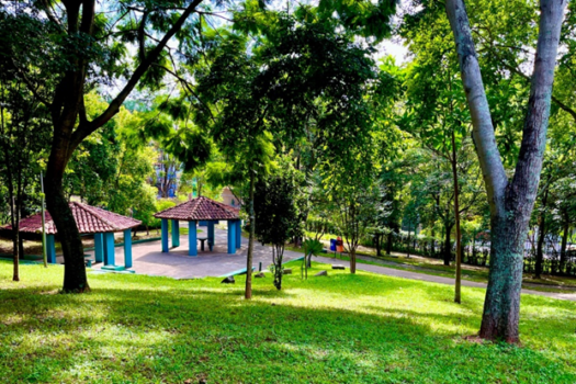 Parque Jacintho Alberto celebra aniversário com circuito ambiental gratuito