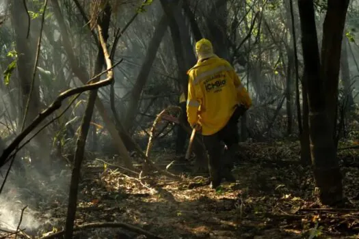 Amazônia tem o maior número de queimadas e incêndios em 17 anos