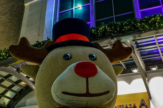 Última chamada para compras de Natal nos shoppings da Multiplan em SP e ABC