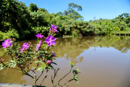 Confira os horários especiais de funcionamento do Parques Urbanos Estaduais durante Natal