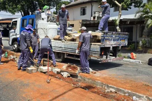 São Caetano inicia retirada de canteiro central da Avenida Paraíso, no Bairro Olímpico