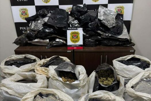 Homem é preso em chácara com mais de 100 kg de maconha em Franco da Rocha