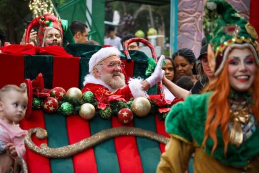 Programação de Natal dos Parques Ibirapuera e Horto Florestal encerra neste final de semana