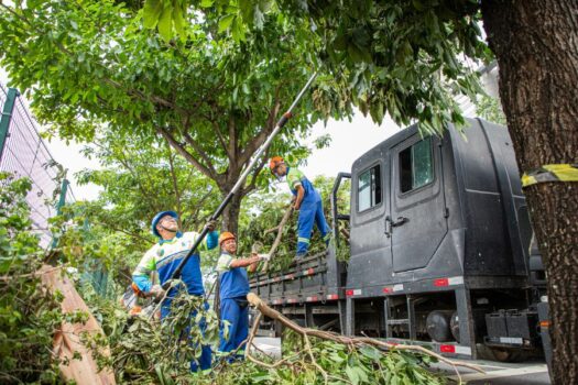 Ação rápida da Prefeitura de São Caetano resolve impactos das chuvas