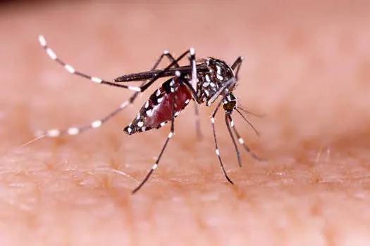 Diadema intensifica ações na Semana Estadual de Mobilização Social contra o Aedes aegypti