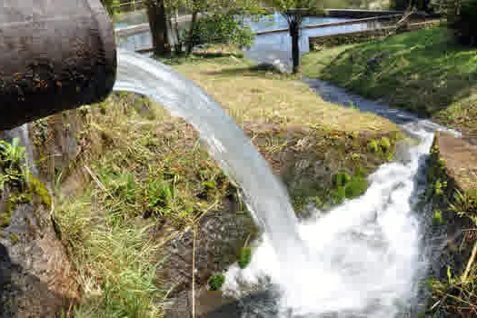 Semasa lança curso on-line de Educação Ambiental totalmente gratuito