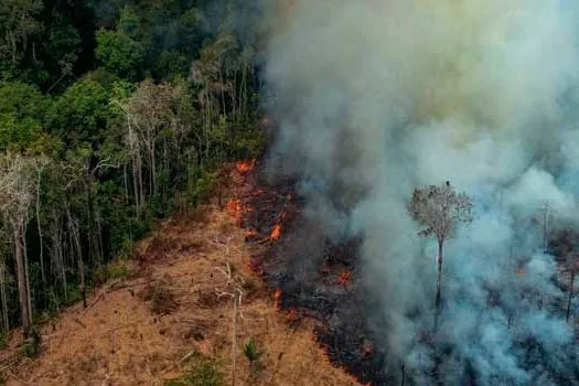 Forças Armadas prenderam 127 pessoas em ações de combate a fogo na Amazônia