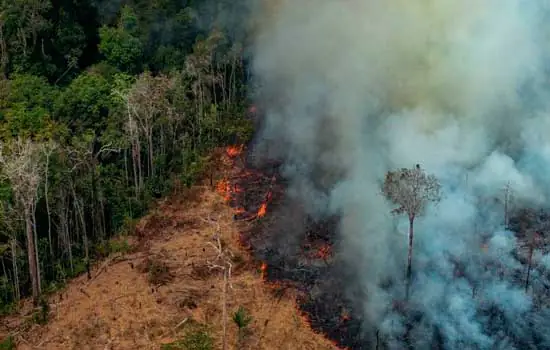 Forças Armadas prenderam 127 pessoas em ações de combate a fogo na Amazônia