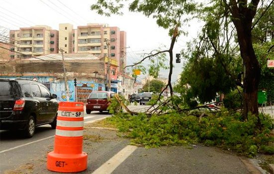 Temporal Causa Transtornos Em São Paulo Abc Do Abc