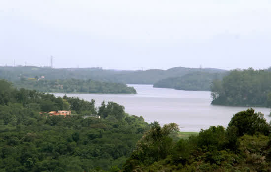 Processos de compensação ambiental já podem ser requeridos em Ribeirão Pires