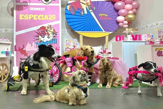 Cachorródromo® reúne cães cadeirantes para promover a inclusão de pets especiais