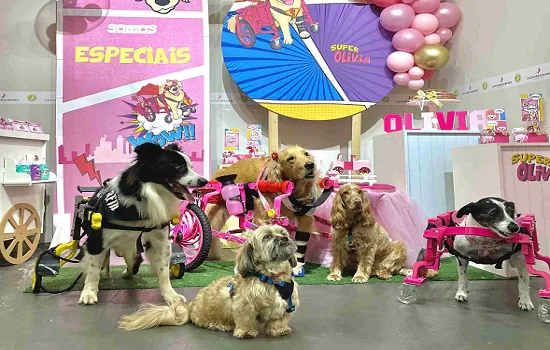 Cachorródromo® reúne cães cadeirantes para promover a inclusão de pets especiais