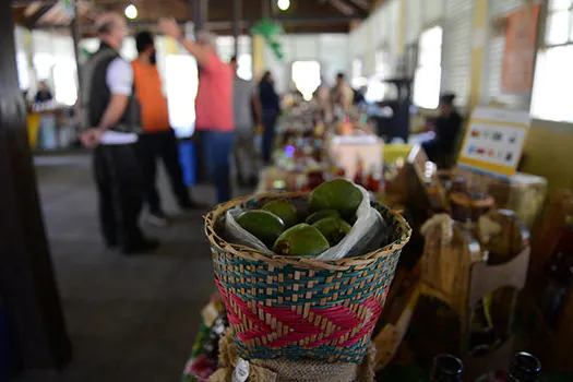 Festival do Cambuci de Paranapiacaba terá concurso gastronômico neste sábado