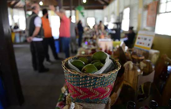 Festival do Cambuci de Paranapiacaba terá concurso gastronômico neste sábado