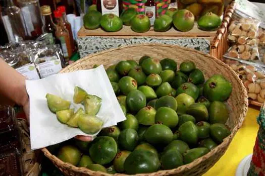 Semasa promove Minicurso de Cambuci para moradores da região do Parque do Pedroso