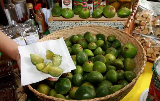 Semasa promove Minicurso de Cambuci para moradores da região do Parque do Pedroso