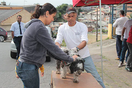 Mais de 5 mil animais vacinados na primeira semana de campanha