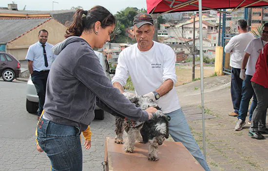 Mais de 5 mil animais vacinados na primeira semana de campanha