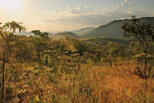 Dia Nacional do Cerrado