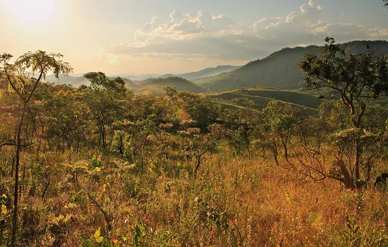 Dia Nacional do Cerrado