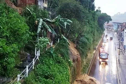 Queda de árvore deixa dois mortos em Angra dos Reis