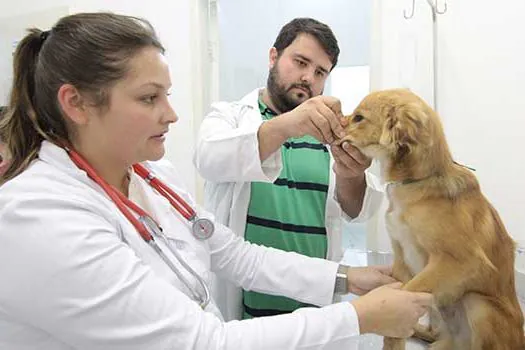 Mauá cria Conselho Municipal de Proteção e Defesa dos Animais