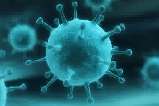 SBI esclarece tudo sobre o Coronavírus