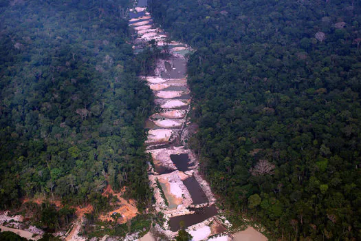 Amazônia registra 2º ano com mais desmatamento