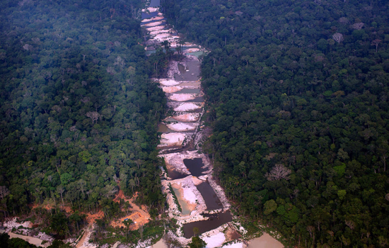 Amazônia registra 2º ano com mais desmatamento