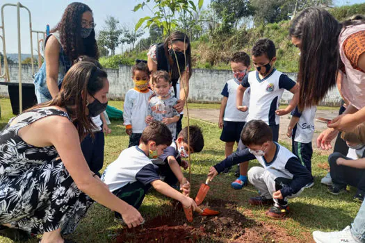 Dia da Árvore: Ribeirão Pires celebra a data com plantio de mudas nas escolas