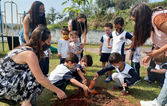 Dia da Árvore: Ribeirão Pires celebra a data com plantio de mudas nas escolas